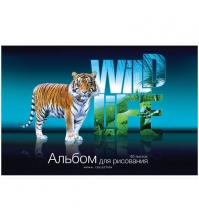 Альбом для рисования 40л. А4 на скрепке Животные. Wild life