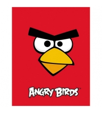 Бизнес-блокнот 120л. А6 Angry Birds, перфорация уголков
