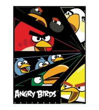 Бизнес-блокнот 80л. А5 Angry birds, 5-цветный блок