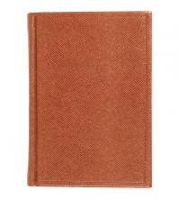 Ежедневник недатированный А6 176л. кожзам SALAMANDRA, коричневый