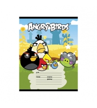 Тетрадь 18л. клетка Angry Birds