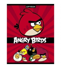 Тетрадь 24л. клетка Angry Birds