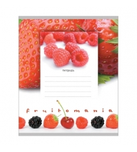 Тетрадь 24л. линия FRUITOMANIA berries