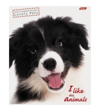 Тетрадь 24л. линия I Like Animals