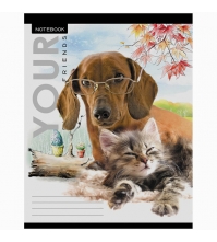 Тетрадь 48л. А5 клетка Питомцы. Your friends, блок 60г/м?, ВД-лак