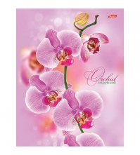 Тетрадь на кольцах А5 120л. Розовая орхидея