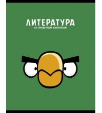 Тетрадь тематическая 48л. Angry Birds - Литература, выборочный лак