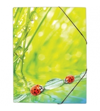 Папка на резинке Ladybird  А4, 550мкм