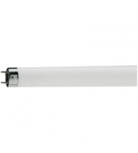 Лампа люминесцентная PHILIPS TL-D G13 18W/33-640 SLV (короткая)