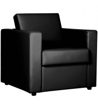 Кресло для отдыха Симпл, обивка terra 118 чёрный