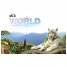 Альбом для рисования 32л. А4 на скрепке Животные. Wild world, блок 100 г/м