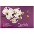 Альбом для рисования 40л. А4 на скрепке Цветы. Орхидеи