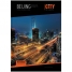 Увеличить Бизнес-блокнот 80л. А5 ЛАЙТ Night City, глянцевая ламинация