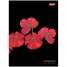 Увеличить Записная книжка 140л. А6 на пластиковой спирали Red on Black