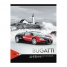 Увеличить Дневник 1-11 кл. 40л. Авто. Powerful car, ВД-лак