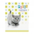 Увеличить Дневник 1-11 кл. 40л. Питомцы. Pets!, ВД-лак