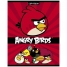 Тетрадь 24л. клетка Angry Birds