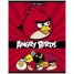 Увеличить Тетрадь 24л. клетка Angry Birds