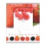 Увеличить Тетрадь 24л. линия FRUITOMANIA berries