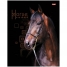 Увеличить Тетрадь на кольцах А5 120л. Horse