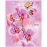 Тетрадь на кольцах А5 120л. Розовая орхидея