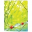 Папка на резинке Ladybird  А4, 550мкм
