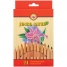Увеличить Карандаши JUMBO NATUR 24цв., утолщен.корпус, заточен., европодвес