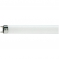 Лампа люминесцентная PHILIPS TL-D G13 18W/54-765 SLV (короткая)